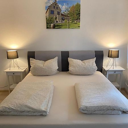 Ferienwohnung Stiegel Ingelheim am Rhein Bagian luar foto